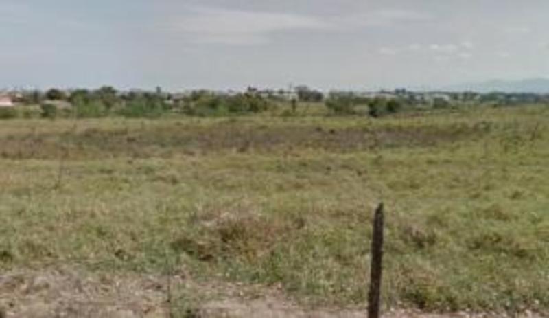 Bandidos fazem família refém e roubam 12 cabeças de gado em Tremembé; prejuízo é de R$60 mil