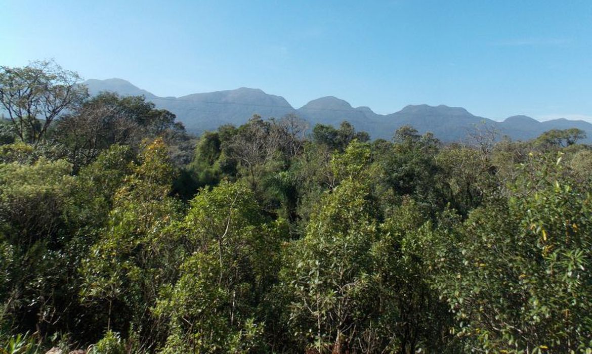 SP assina protocolo para preservação do meio ambiente
