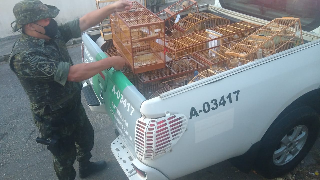 Homem é multado em R$ 165 mil por manter 56 aves silvestres em cativeiro em Jacareí