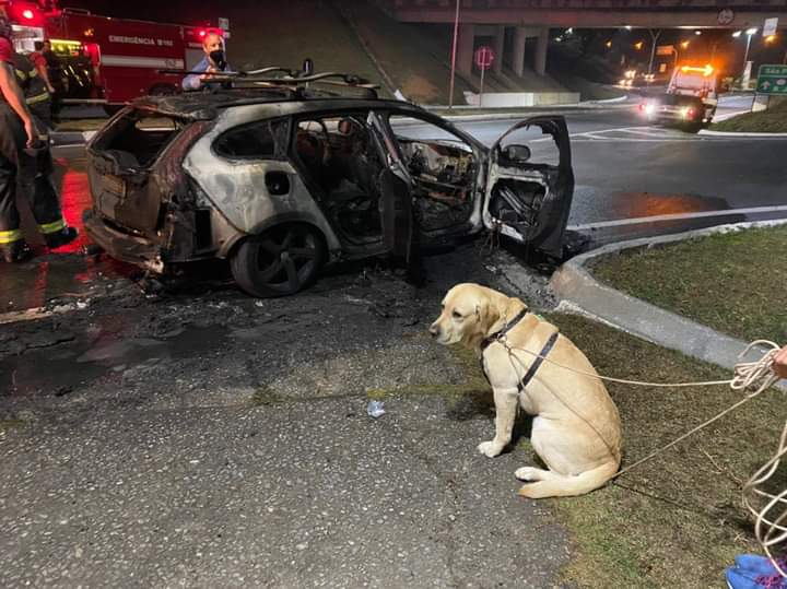 Carro fica destruído após pane elétrica em Guaratinguetá; duas pessoas e um cachorro conseguiram escapar