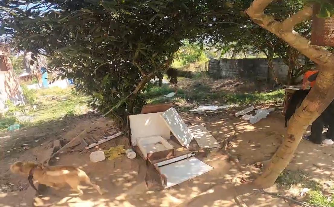 Polícia resgata quatro cachorros em situação de maus-tratos em Caçapava Velha 