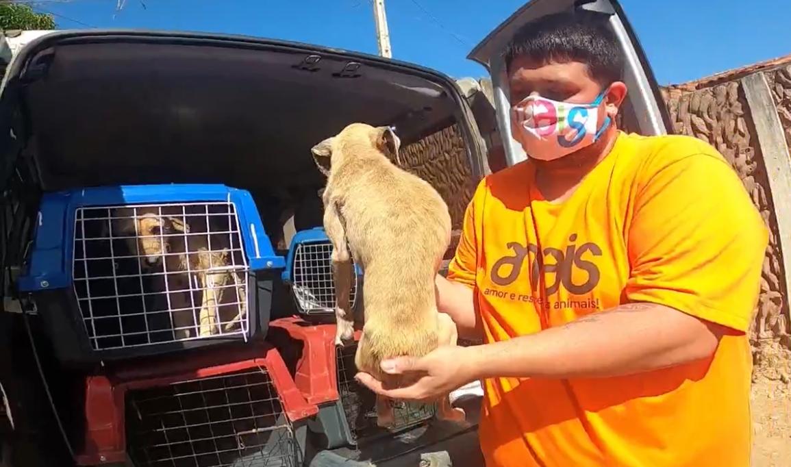 Polícia resgata quatro cachorros em situação de maus-tratos em Caçapava Velha 