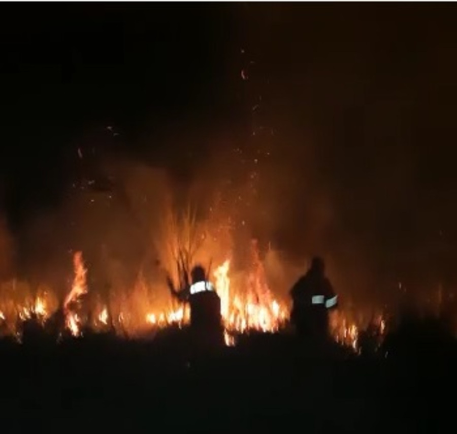 Defesa Civil combate incêndio em área de mata no Parque da Cidade em Pindamonhangaba