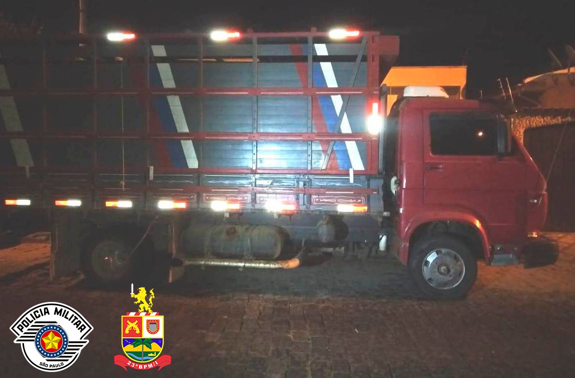 Polícia Militar apreende caminhão com 15 gados de procedência duvidosa na Dutra em Lorena