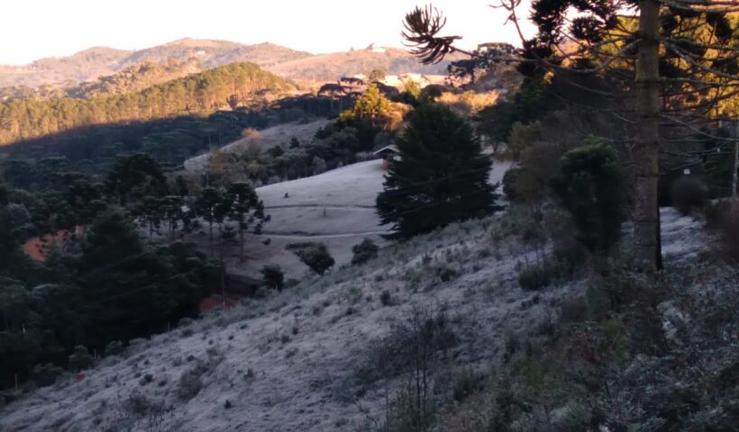 frio