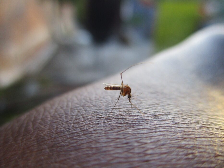 Vale chega a 78 mortos por dengue