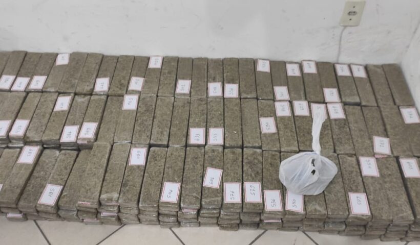 polícia militar drogas