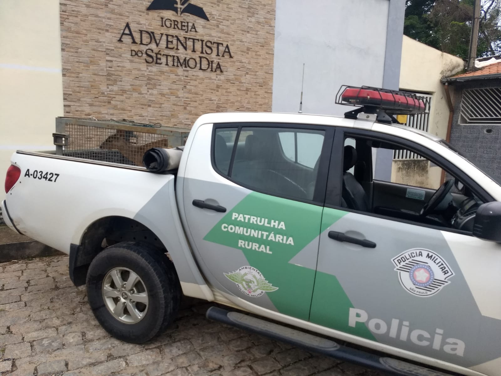 veado-mateiro queluz