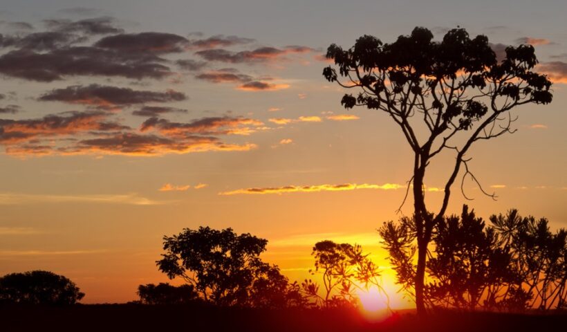 São José vai ganhar Parque Natural do Cerrado na região sul