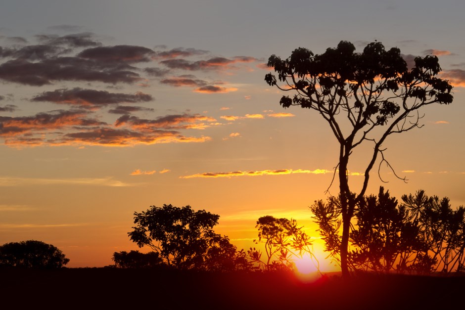São José vai ganhar Parque Natural do Cerrado na região sul