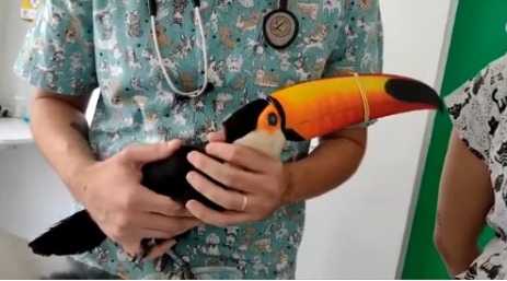 tucano cruzeiro