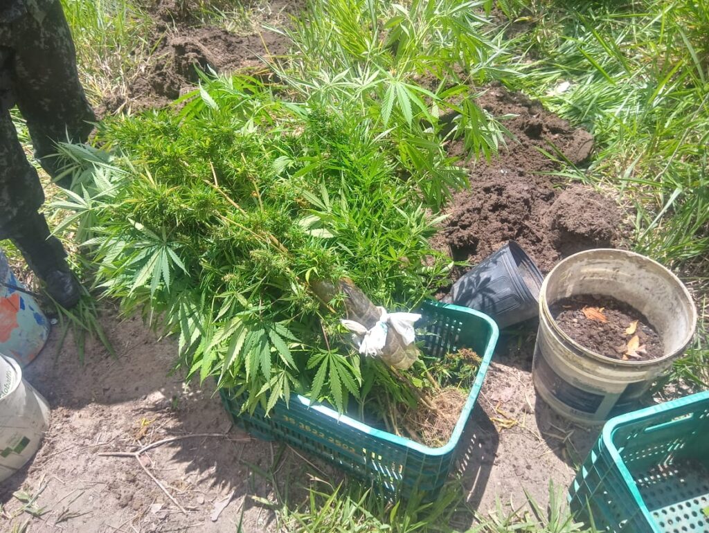 polícia militar ambiental