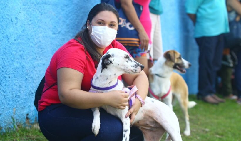Prefeitura abre inscrições para o Castramóvel na quinta-feira