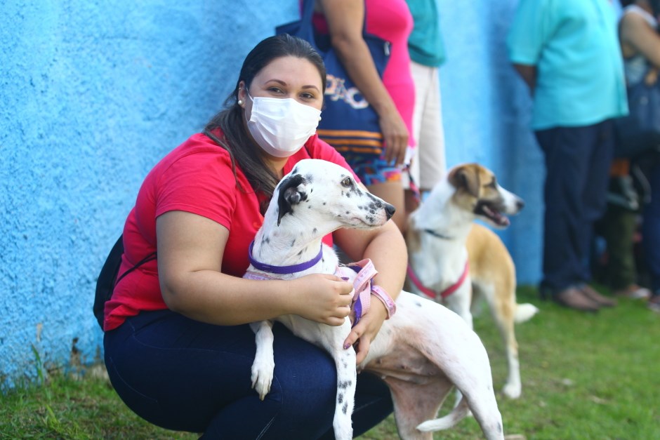 Prefeitura abre inscrições para o Castramóvel na quinta-feira