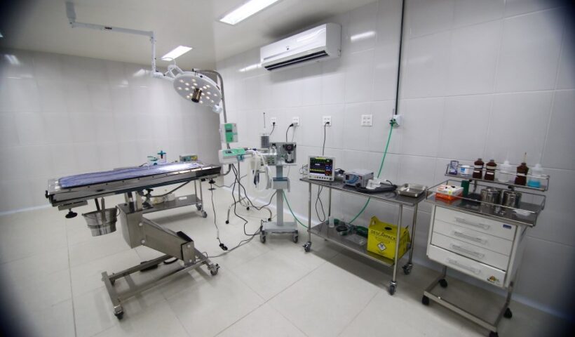 Feriado altera agendamento do Hospital Veterinário para terça