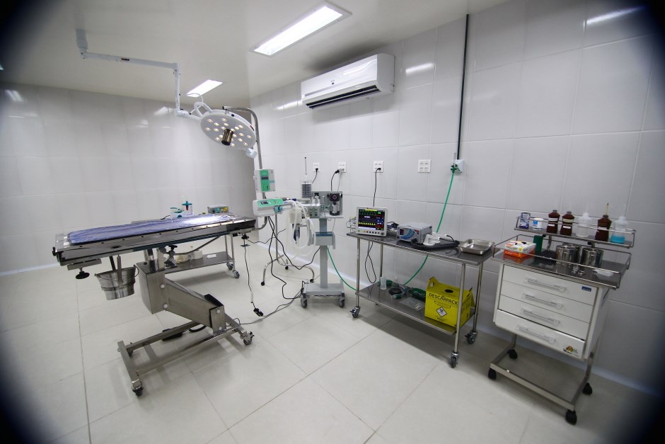 Feriado altera agendamento do Hospital Veterinário para terça