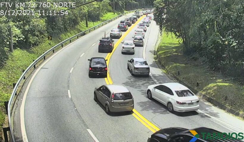 Veículos trafegando pela rodovia dos Tamiois