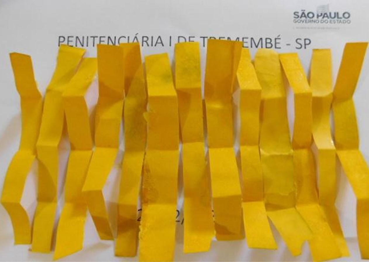 maconha tremembé