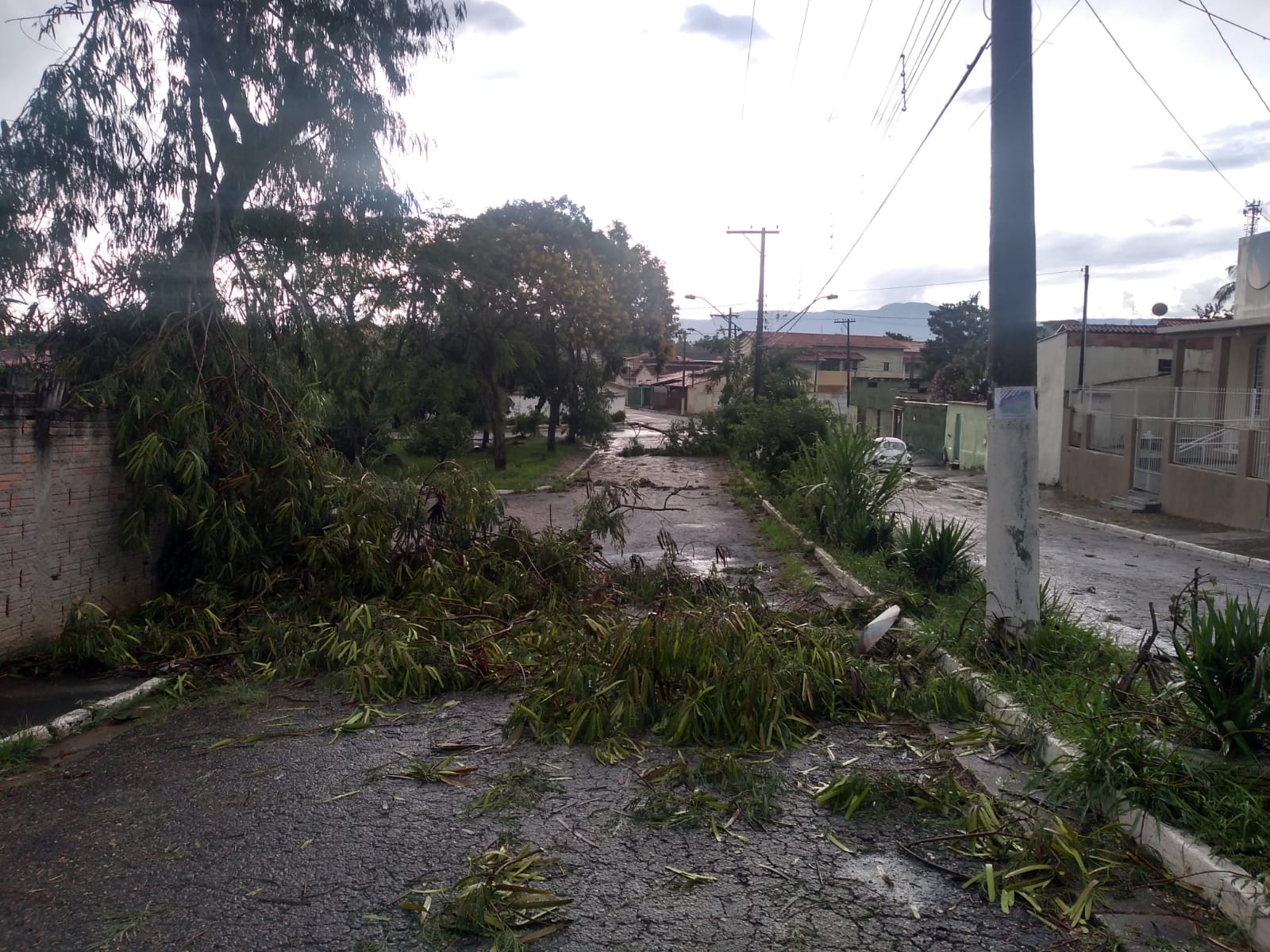 temporal guará