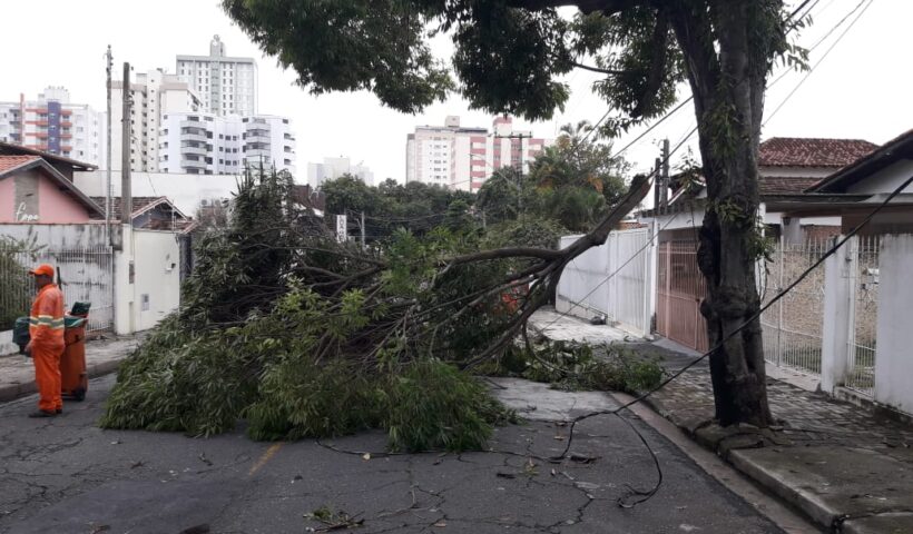Coordenador da Defesa Civil de São José comenta o enfrentamento das chuvas