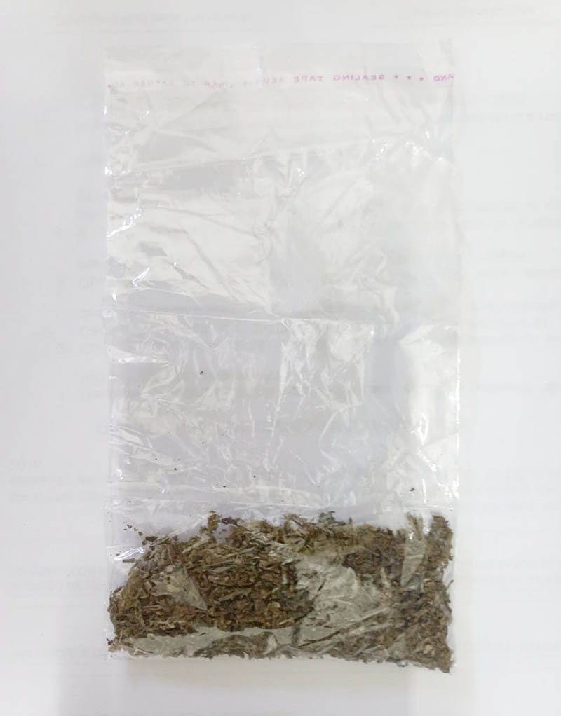 maconha no sutiã