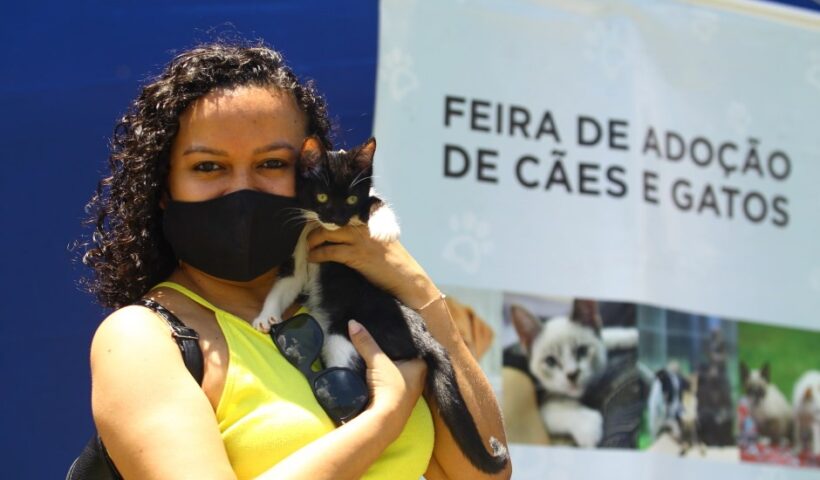 Última feira de adoção de cães e gatos de 2021 será no sábado