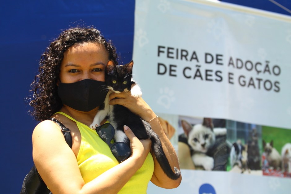 Última feira de adoção de cães e gatos de 2021 será no sábado
