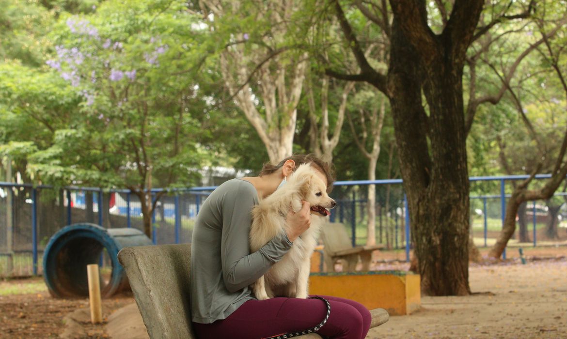 cachorros e gatos