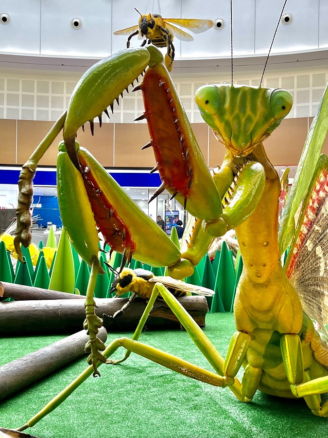 férias vale sul