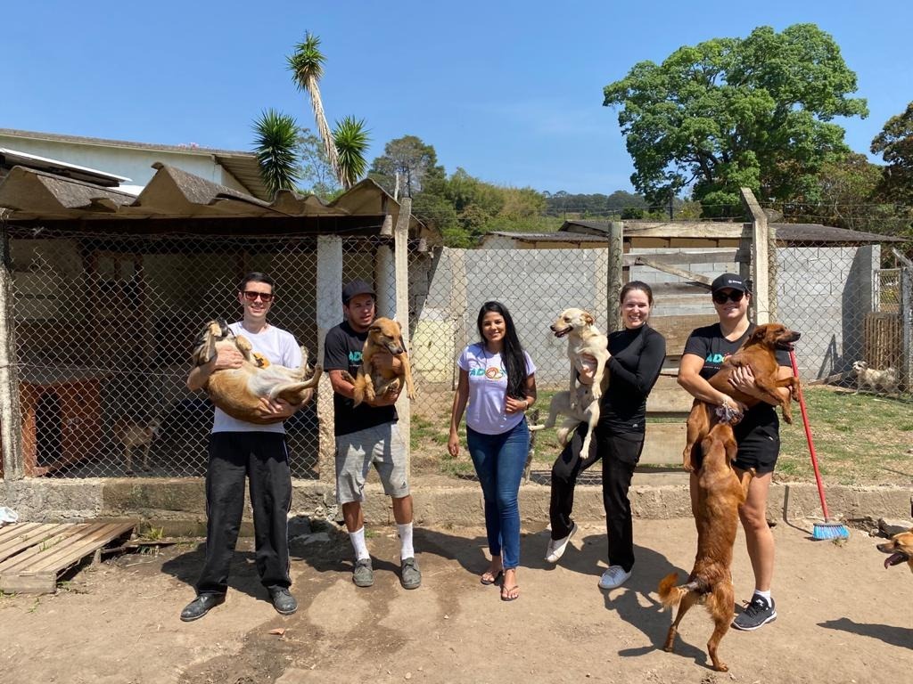 adoção pets sjc