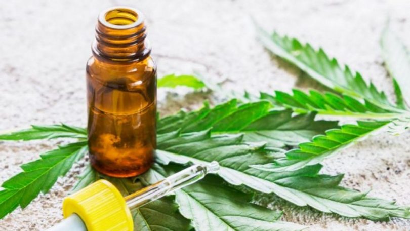 cannabis medicinal