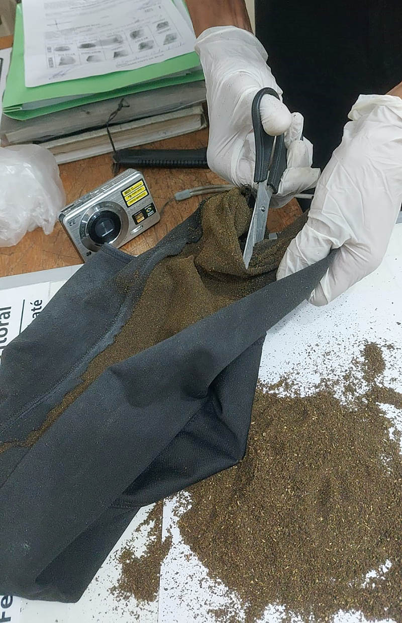 maconha calcinha taubaté