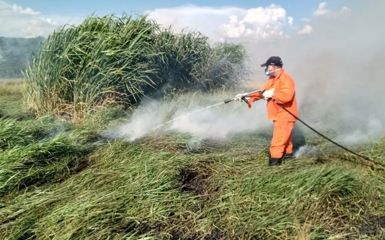 incêndio taubaté