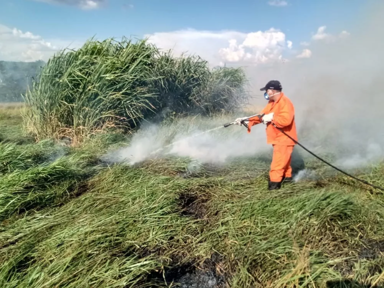 incêndio taubaté