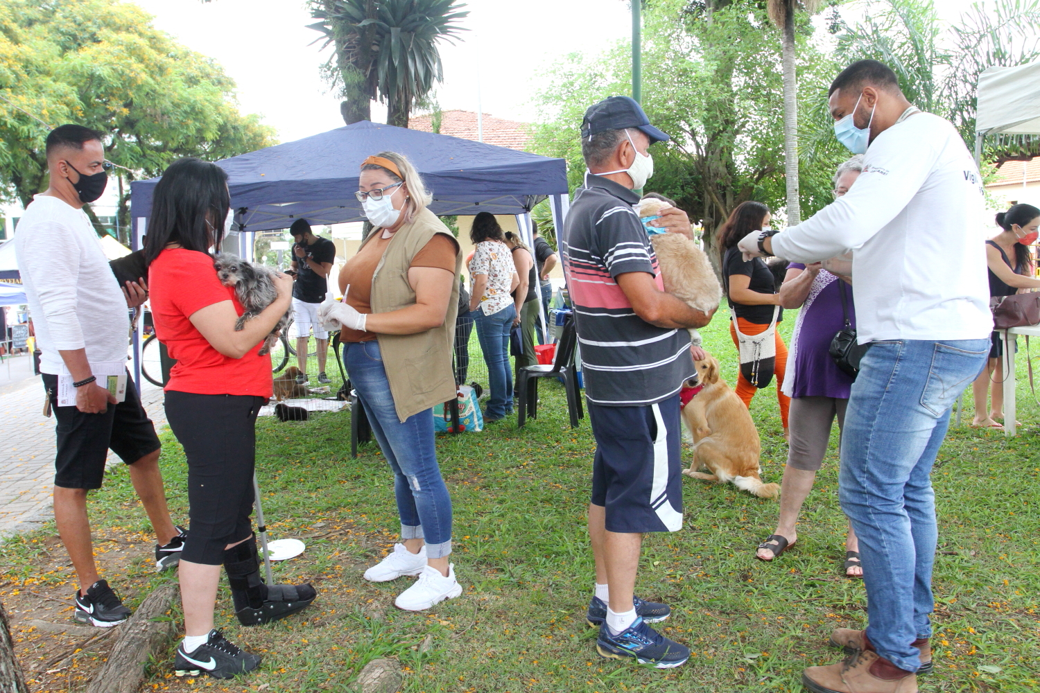 Jacareí realiza vacinação antirrábica para cães e gatos neste domingo (10), no Parque da Cidade