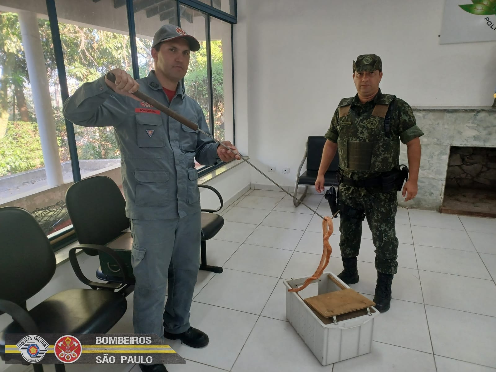 cobra em sjc