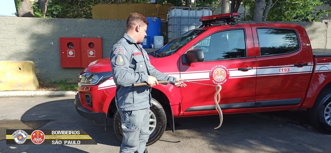 cobra em sjc