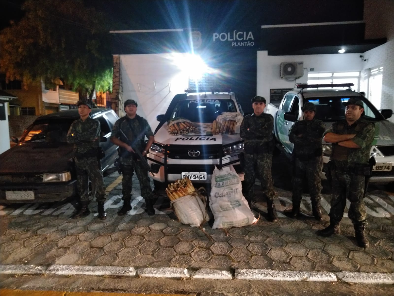 palmito ilegal