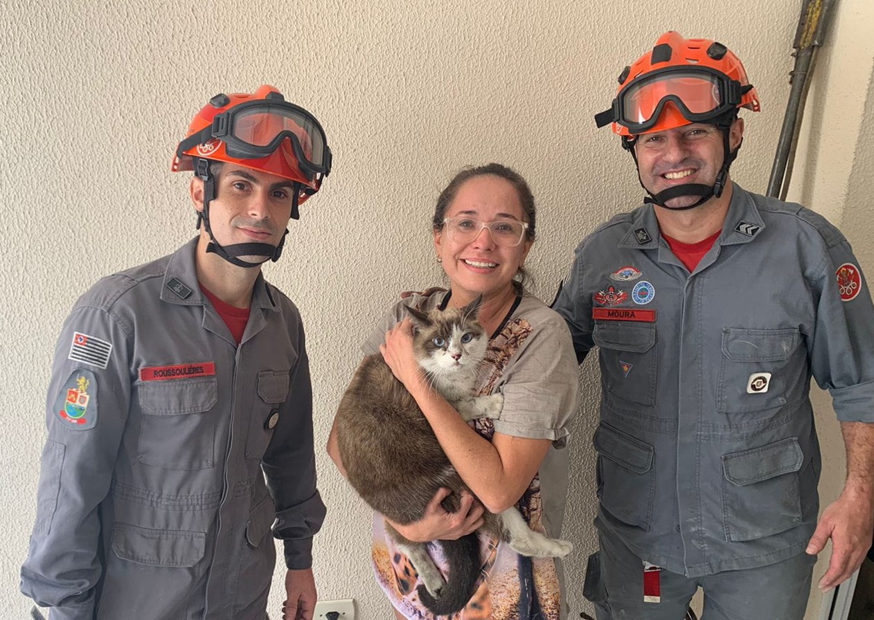 Bombeiros resgatam gato preso em chaminé em SJC