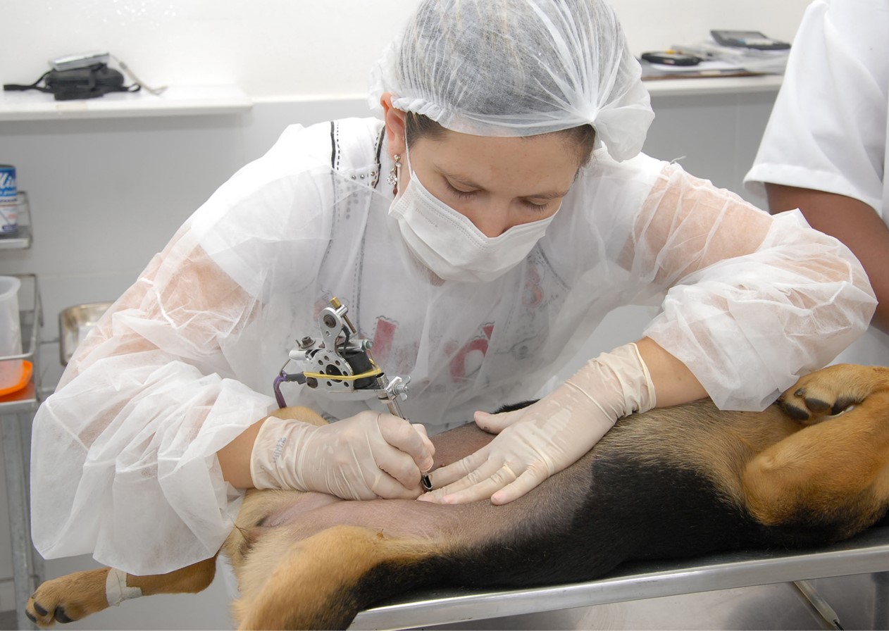Duas entidades disputam contrato de hospital público veterinário de Taubaté