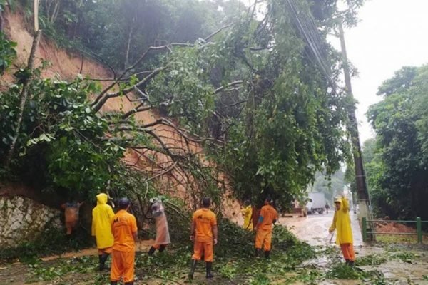 7 pessoas Mãe e seis filhos morrem após deslizamento em Paraty; uma criança sobrevive