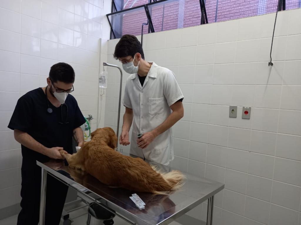 Entidade da capital vence licitação e vai implantar hospital público veterinário de Taubaté