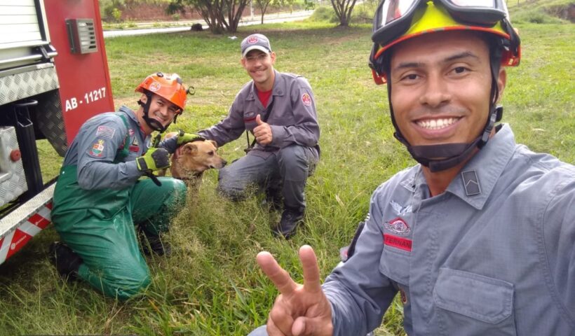 Bombeiros realizam difícil resgate de cachorro em galeria de esgoto, em Taubaté