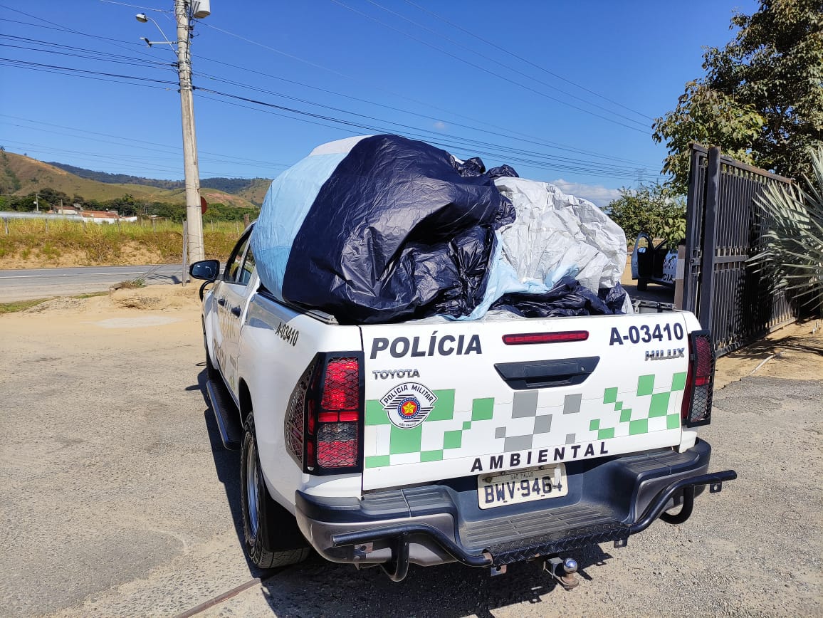 pm ambiental