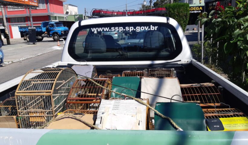 aves sjc