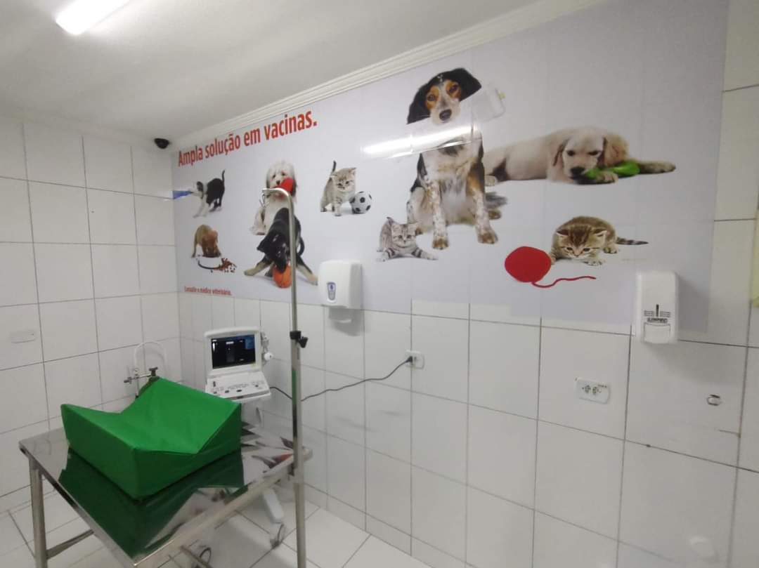 consultório do hospital público veterinário de taubaté