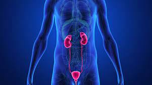 urologia