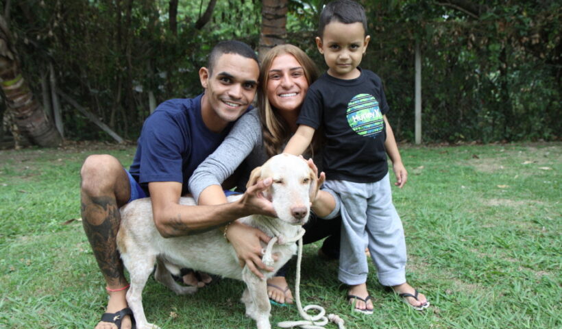 ADOÇÃO DE PETS