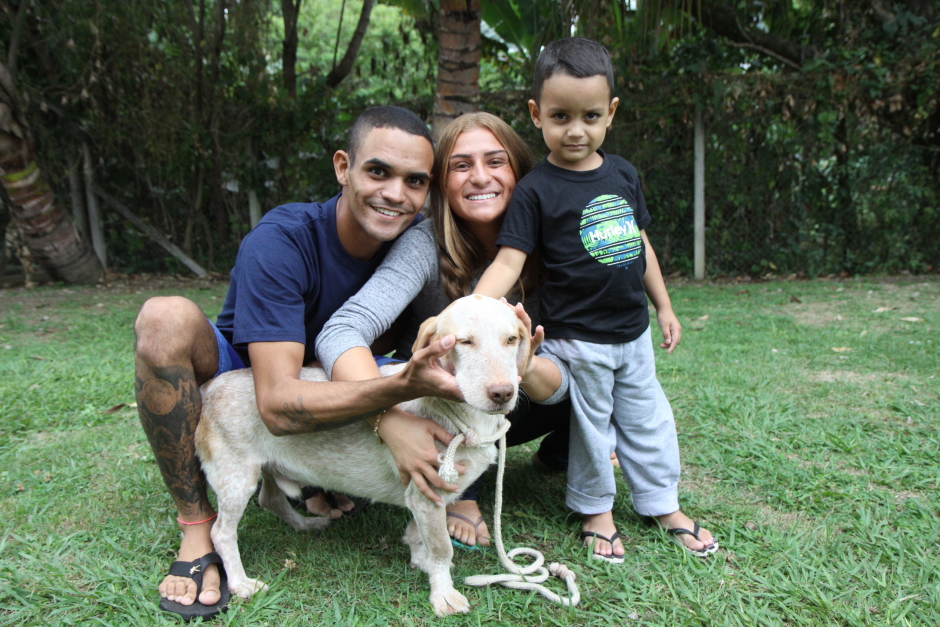 ADOÇÃO DE PETS