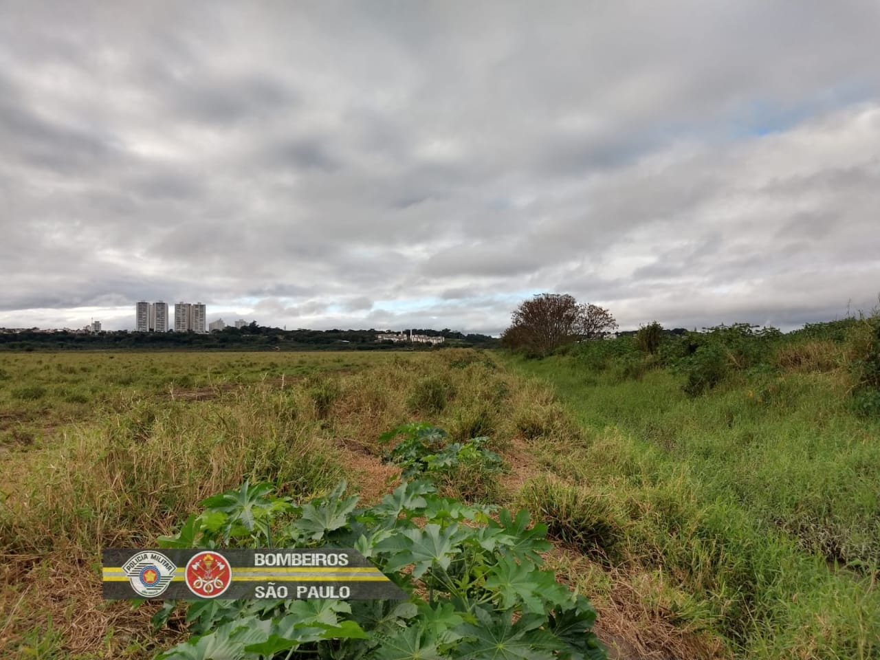 idoso é encontrado morto em jacareí